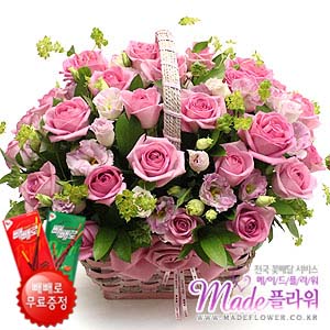 �󼼳��뺸��